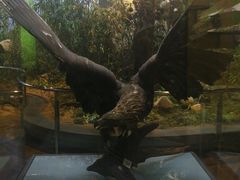 -陕西自然博物馆