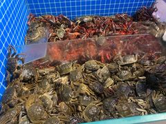 -乔哥铭洋海鲜自助(皇城恒隆广场店)