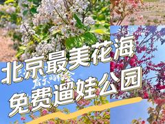 -南海子公园