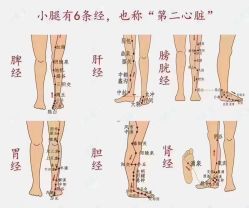 -香薇妮丝女子减肥院