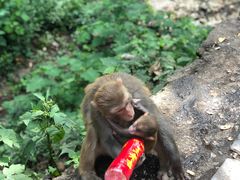 -黔灵山公园-南门售票处