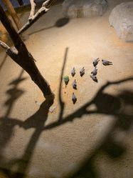 -酷嗒动物文化乐园(cutezoo西溪乐天城店)