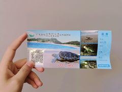 -广东惠东海龟国家级自然保护区