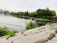 -美兰湖景区