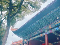 -南岳衡山风景名胜区