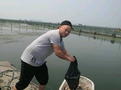 -阳澄湖大闸蟹海参(翟营大街总店)