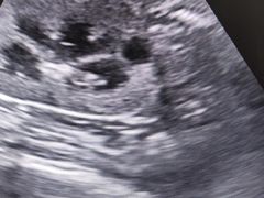 -宠颐生动物医院·心脏科·保险定点(锦阳分院)