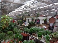 -秦美花卉(天朗·莱茵小城2期店)