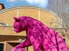 -西安电影制片厂