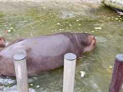 -常州淹城野生动物世界