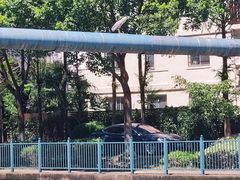 -南汇一王庙道观