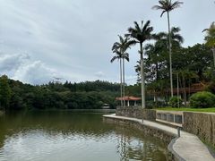 -深圳仙湖植物园