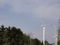 -长白岛森林公园