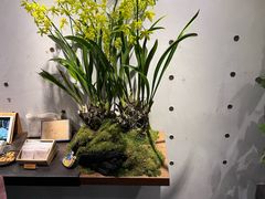 -微热山丘(台北民生公园门市店)