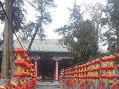 -关林