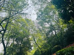 -北极阁公园