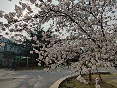 -国家植物园南园