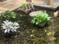 -邈墨茶馆(大兜路1号店)