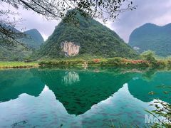 -靖西鹅泉风景区