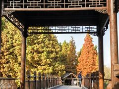 -溱湖国家湿地公园