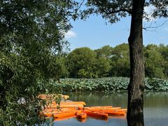 -西溪国家湿地公园