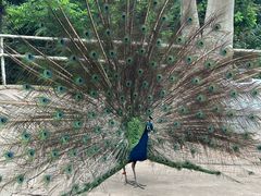 -哈尔滨北方森林动物园