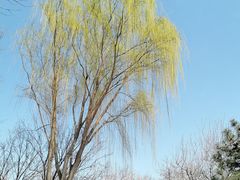 -三里河公园