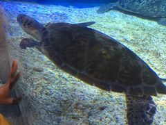 -成都浩海立方海洋公园