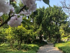 -叶家花园