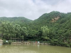 -双新垂钓园