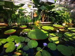 -国家植物园南园