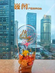 -巍阁高端月子会所