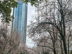 -绵阳人民公园(涪城区)
