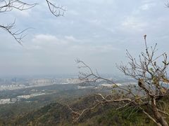-紫金山山顶公园