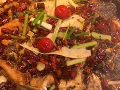 -老板恋上鱼(恒隆广场店)