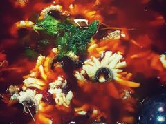 -重庆乌鱼庄·龙滋鲜(青羊大道店)