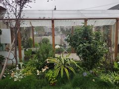 -Jo's Garden