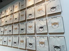 -柴务处·柴犬主题狗咖