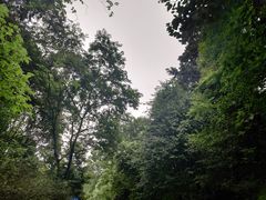 -老君山