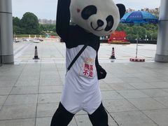 -熊猫不走蛋糕（同城送）(长沙店)