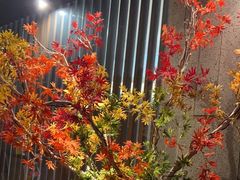 -上井料理黑金店(IFS国金中心店)