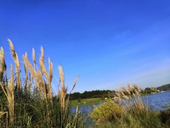 -云漫湖生态度假公园