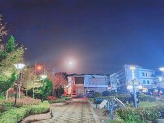 -枸杞岛