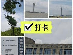 -上海吴淞炮台湾国家湿地公园