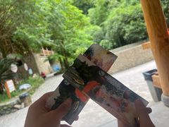 -龙颈河漂流