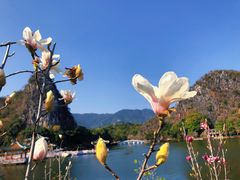 -星湖旅游景区七星岩