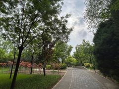 -北坞公园