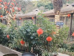 -醉月城西昌火盆烧烤(天府店)