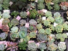 -KKV(深圳宏发大仟里店)