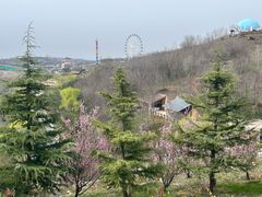 -白鹿原影视城